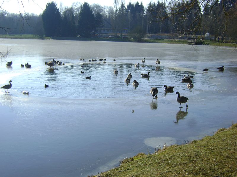 étang gelé de Toucy